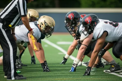 Illustration linesman - Image 1