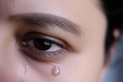 Illustration piques - Image 1