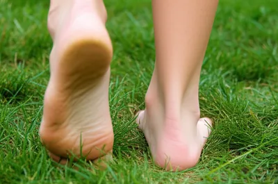 Illustration plate - Image 1