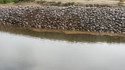 Illustration pond - Image 1