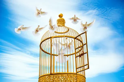 Illustration released - Image 1