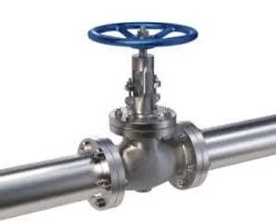 Illustration valvular - Image 2