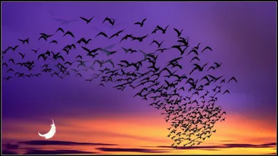 Illustration omen - Image 1