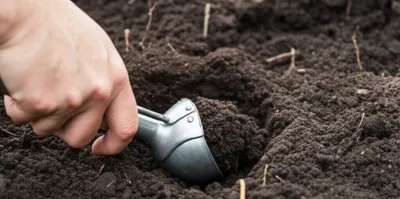 Illustration scoops - Image 1