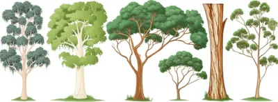 Illustration boxes - Image 1