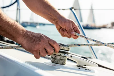 Illustration swig - Image 1