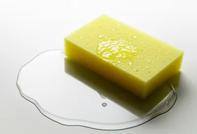 Illustration absorbed - Image 1