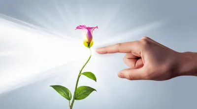 Illustration effective - Image 1