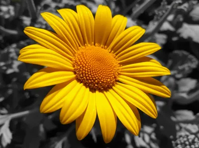 Illustration appealing - Image 1