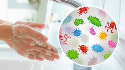 Illustration hygiene - Image 1