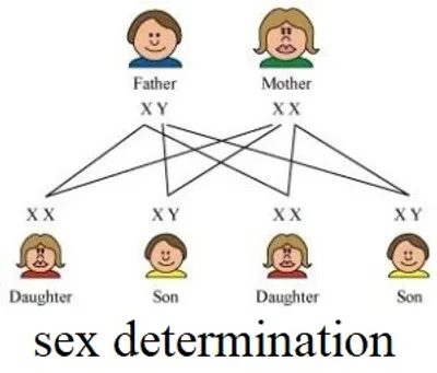 Illustration determination - Image 3