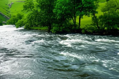 Hình ảnh minh họa discharges - Ảnh 1