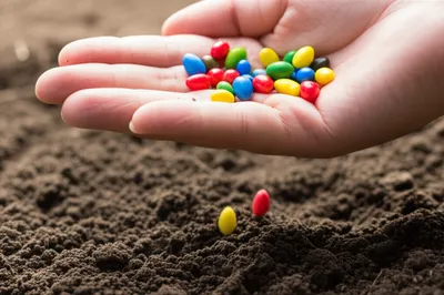 Illustration dropping - Image 1