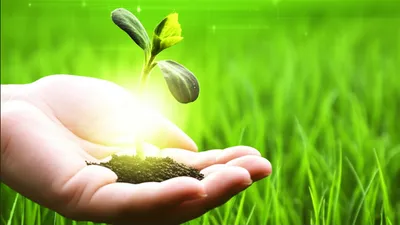 Illustration physic - Image 1