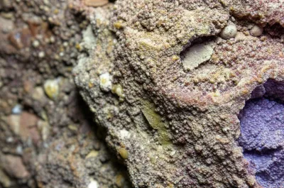 Illustration incrusted