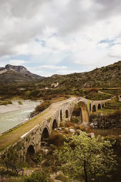 Illustration bridged - Image 2