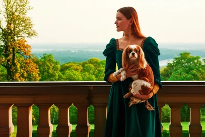 Illustration highborn - Image 1