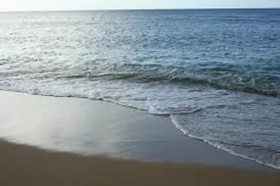 Illustration lap - Image 2