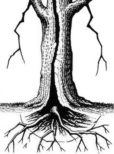 Illustration splitting - Image 1