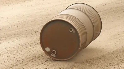 Hình ảnh minh họa trundled - Ảnh 1