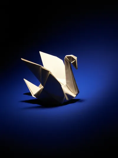 Illustration appearing