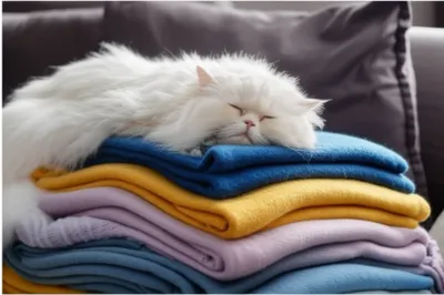 Illustration superincumbent