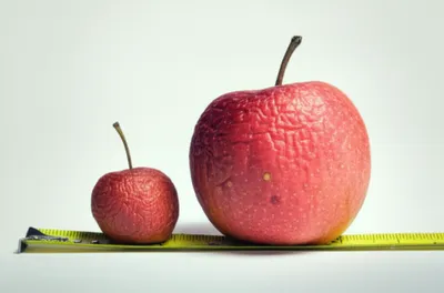 Illustration shrivelled - Image 1