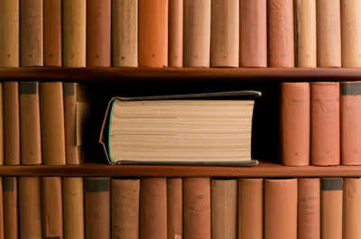 Illustration returns - Image 1