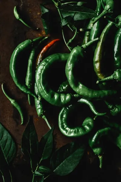 Illustration spiced - Image 2