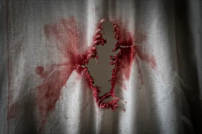 Illustration stabs - Image 1