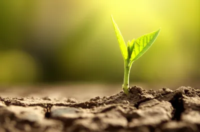 Illustration beginning - Image 1