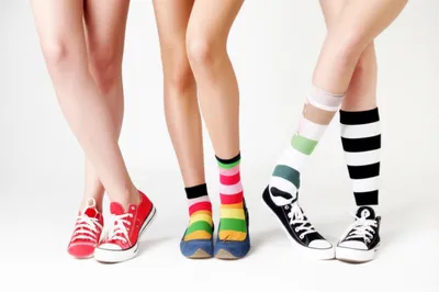 Illustration dogs - Image 1