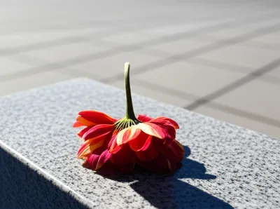 Illustration dies - Image 1