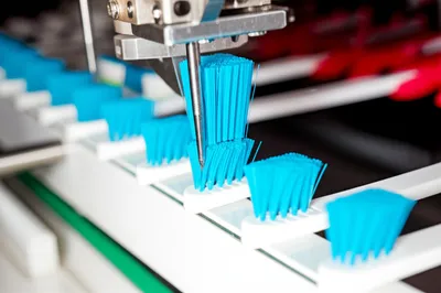 Illustration bristle - Image 2