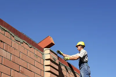 Illustration rears - Image 1