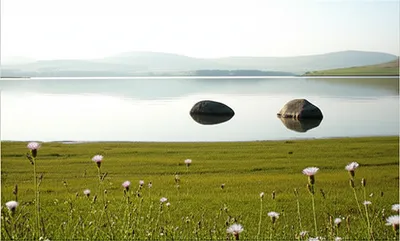 Illustration lakeside - Image 1