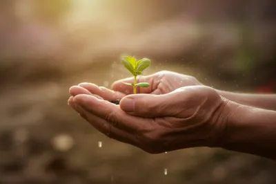 Illustration covered - Image 1