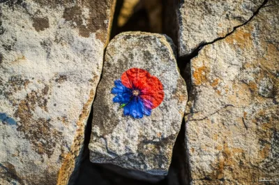 Illustration crushing - Image 1