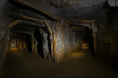 Illustration runners - Image 1