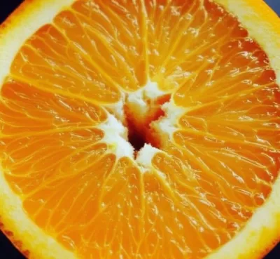 Illustration pithy - Image 1