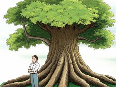 Illustration maintainer