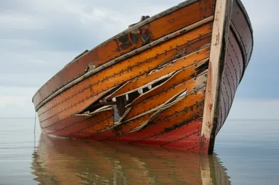 Illustration chined - Image 1