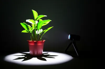 Illustration locals - Image 1