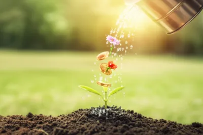 Illustration grants - Image 1