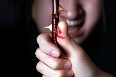 Illustration tine - Image 1