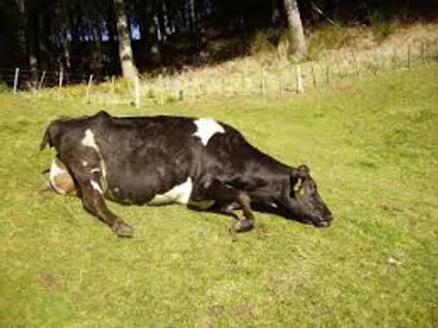 Illustration downer - Image 2