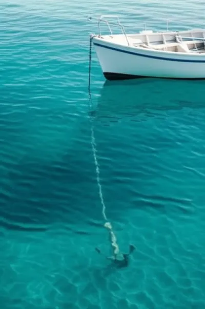 Illustration rode - Image 1