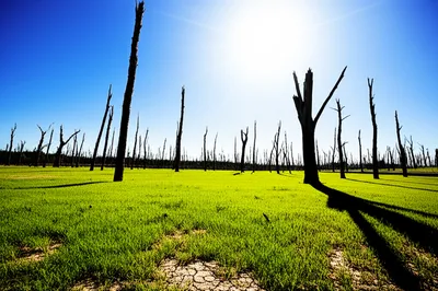 Illustration wasting