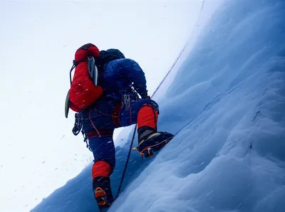 Illustration rigors - Image 1