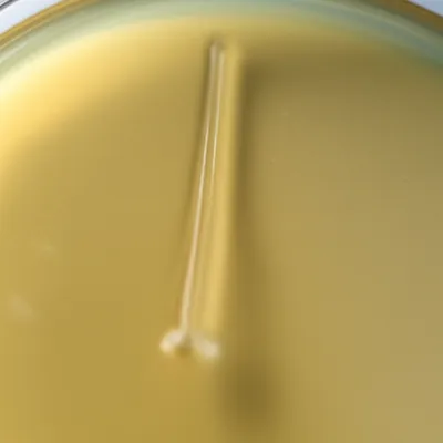 Illustration stab - Image 1